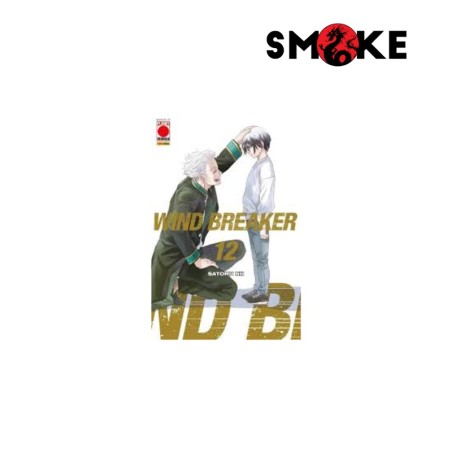 
            Wind Breaker n.12
            