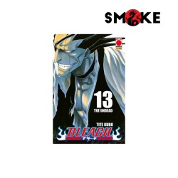 
            Bleach n.13
            